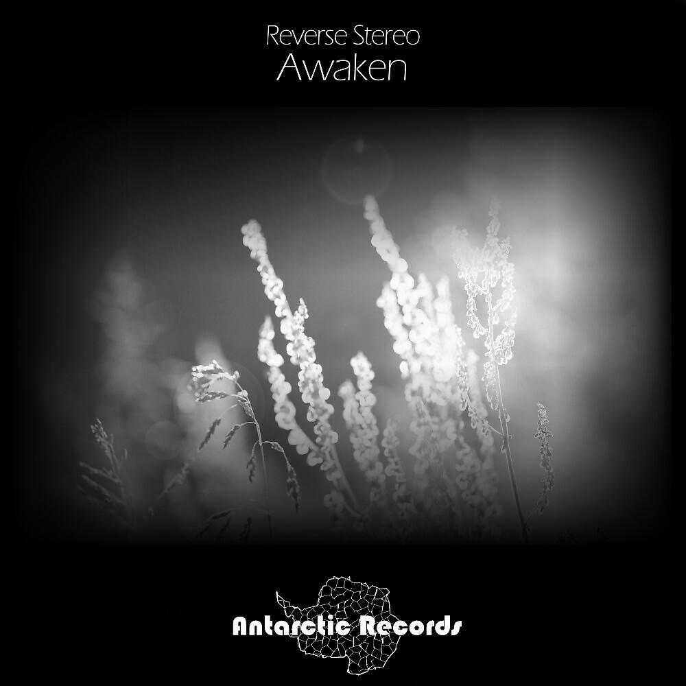 Reverse Stereo - Break It Down