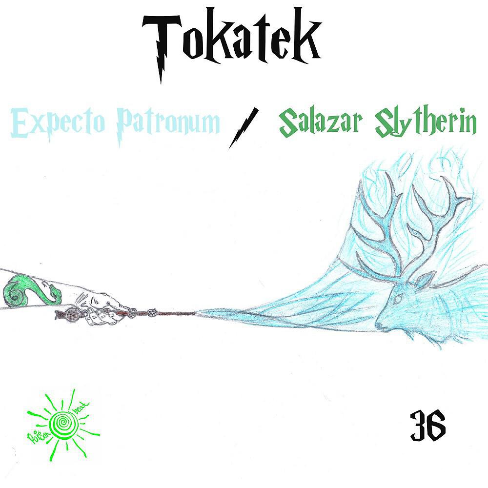 Tokatek - Salazar Slytherin (Original Mix)