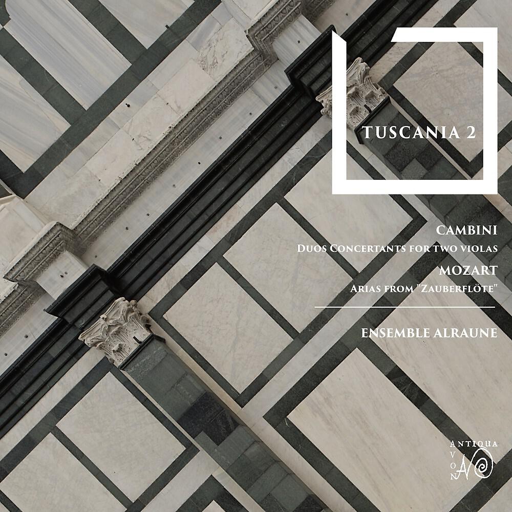 Ensemble Alraune - Duo for Violas (1784) No. 4 in B-Flat Major: II. Minuetto. Arioso