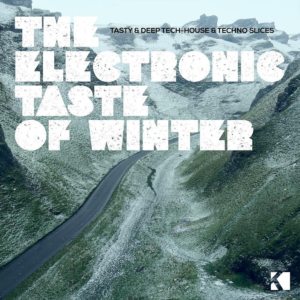 Постер альбома The Electronic Taste of Winter (Tasty & Deep Tech-House & Techno Slices)