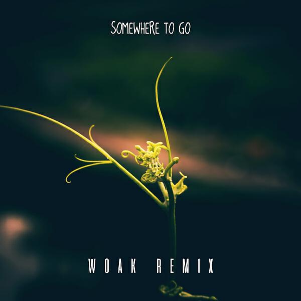 Bruno Martini - Somewhere To Go (Woak Remix)