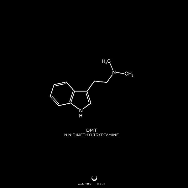 Magnus Deus - Dimethyltryptamine (Trendsetter Trap Music Remix)
