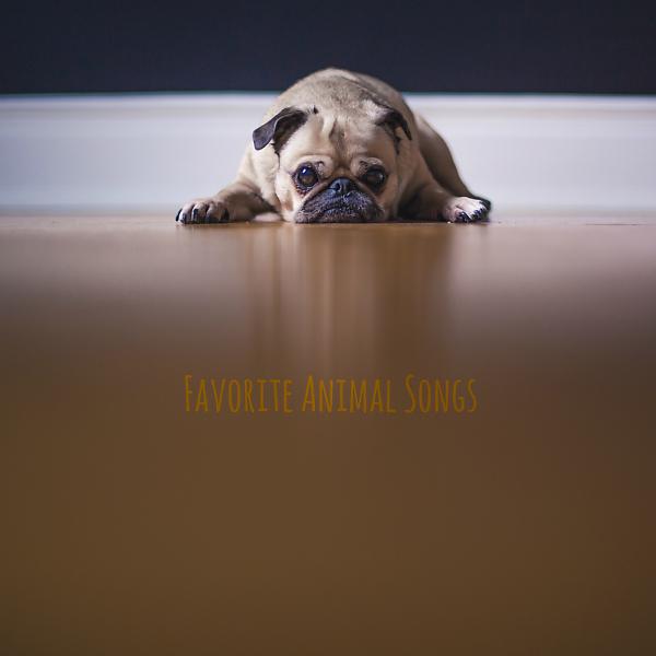 Постер альбома Favorite Animal Songs