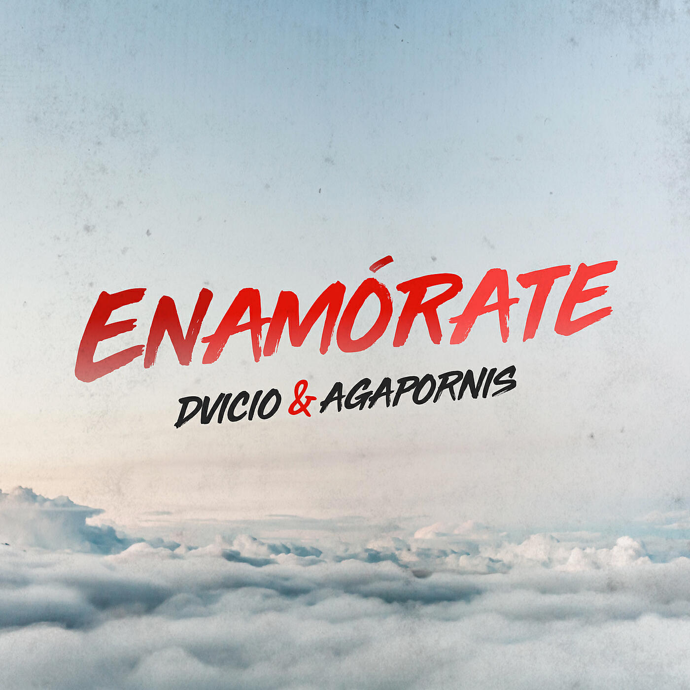 Agapornis - Enamórate