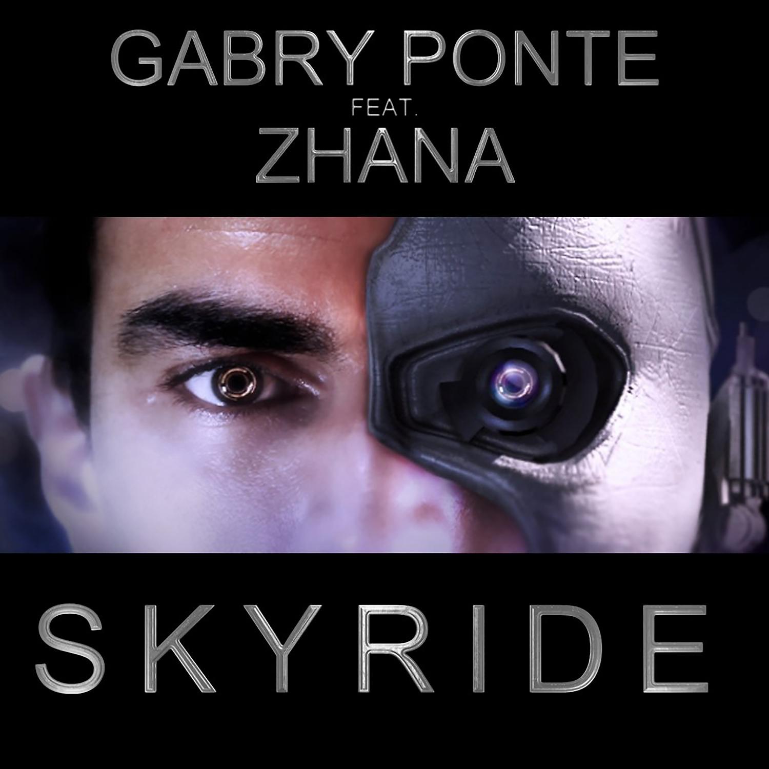 Постер альбома Skyride (feat. Zhana) [Platinum Mixes]