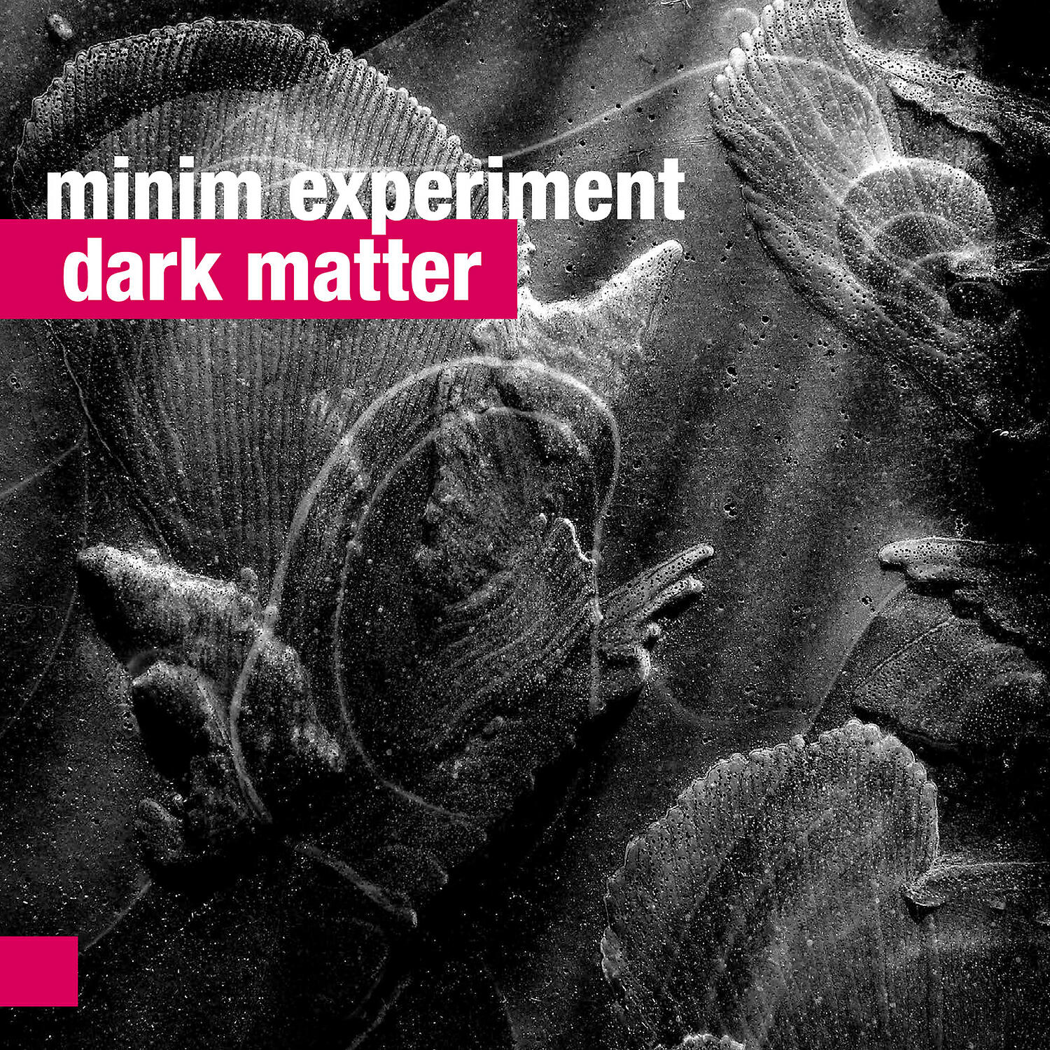Minim Experiment - Between