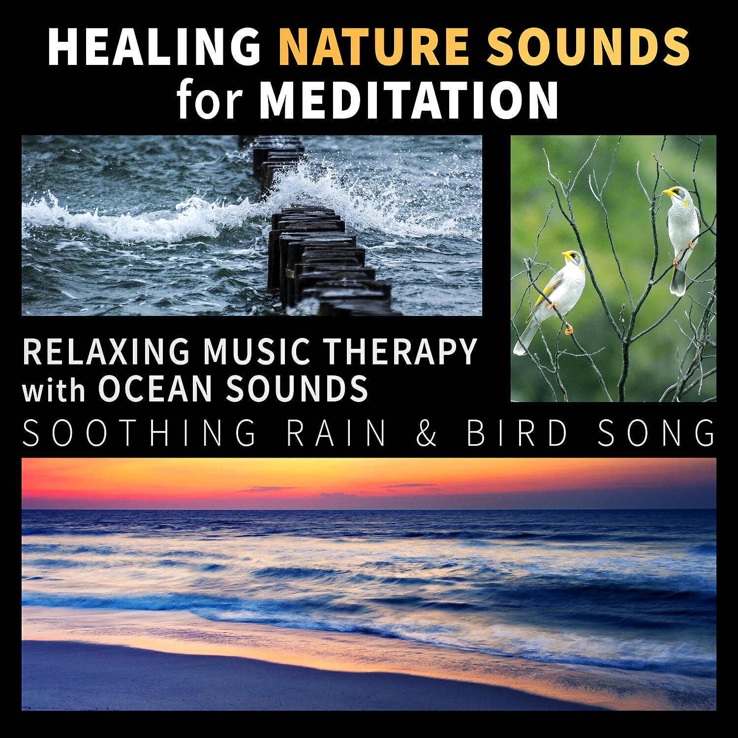 Healing Power Natural Sounds Oasis - Healing Sounds of Nature & Native American Flute