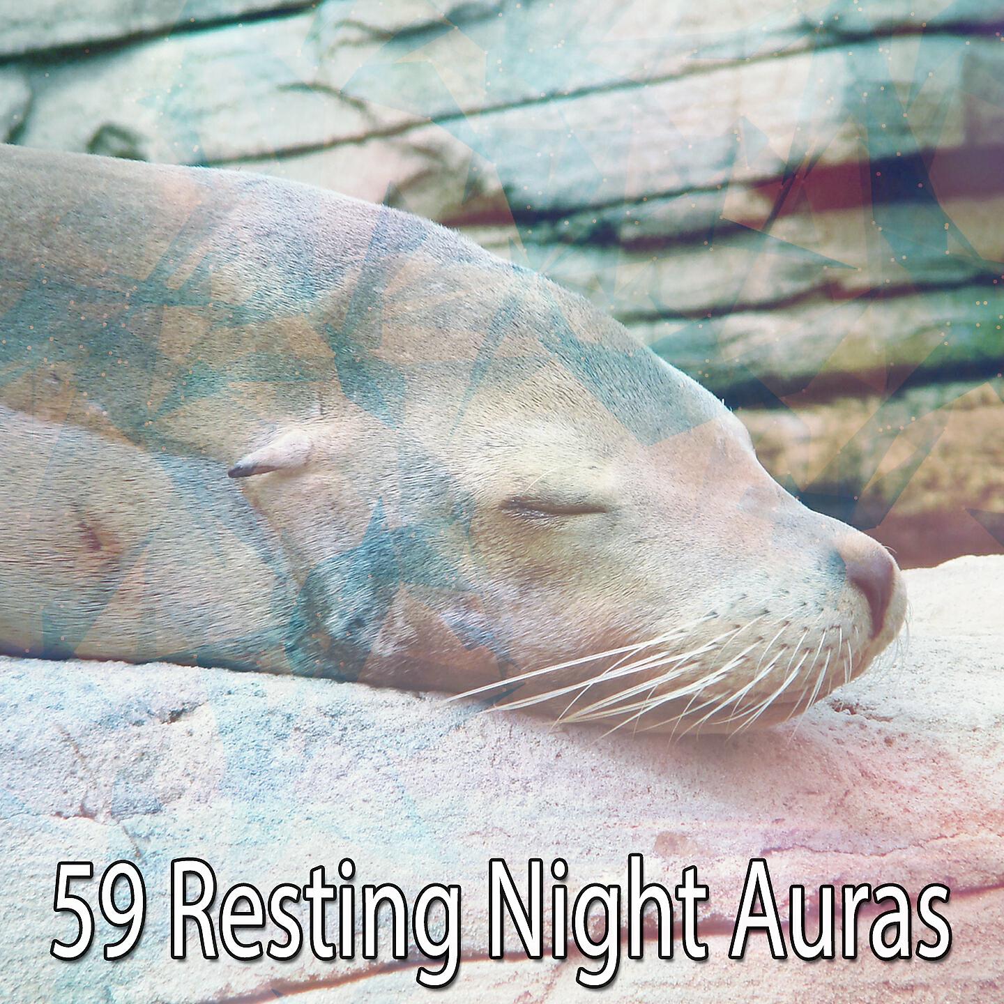 Lullaby Land - Waves Across The Placid Ocean