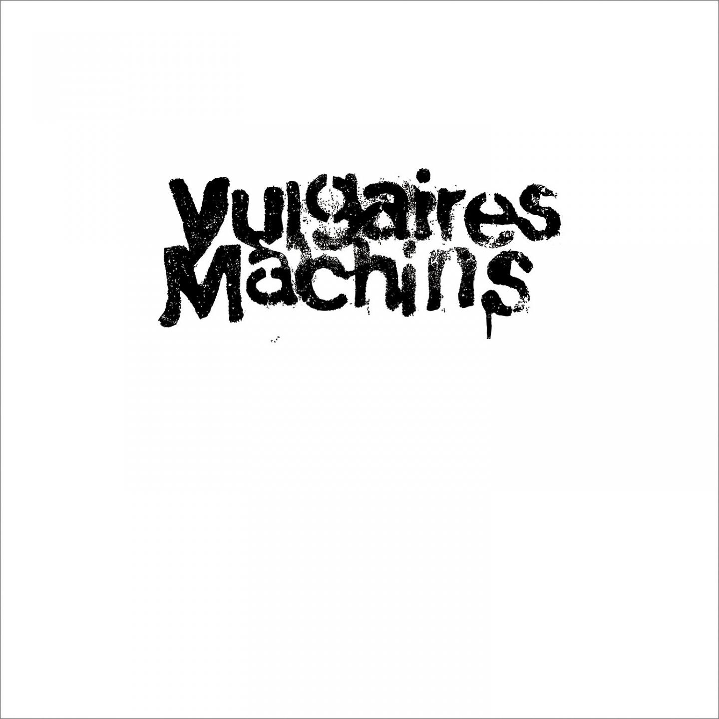Постер альбома Vulgaires Machins
