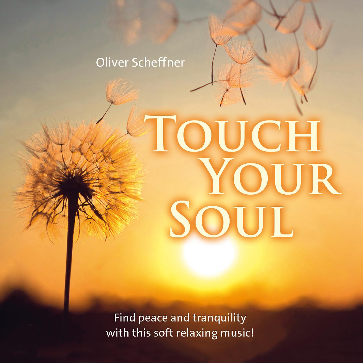 Постер альбома Touch your Soul