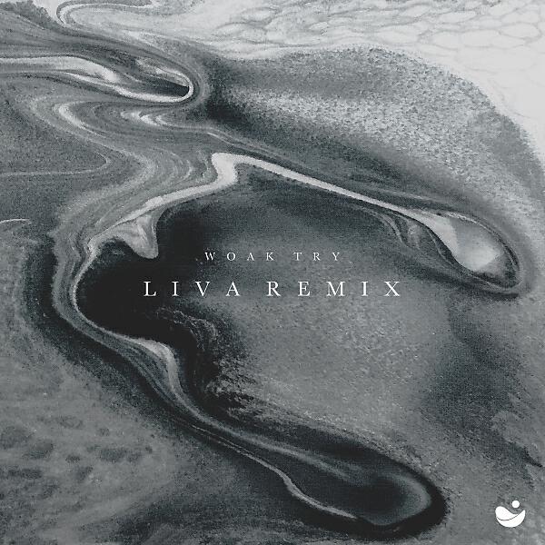 LIVA (BR) - Try (LIVA Remix) (LIVA (BR) Remix)