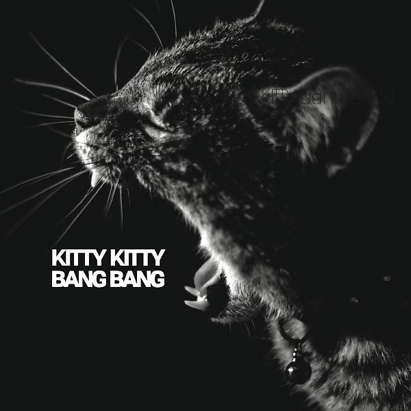 Постер альбома Kitty Kitty Bang Bang