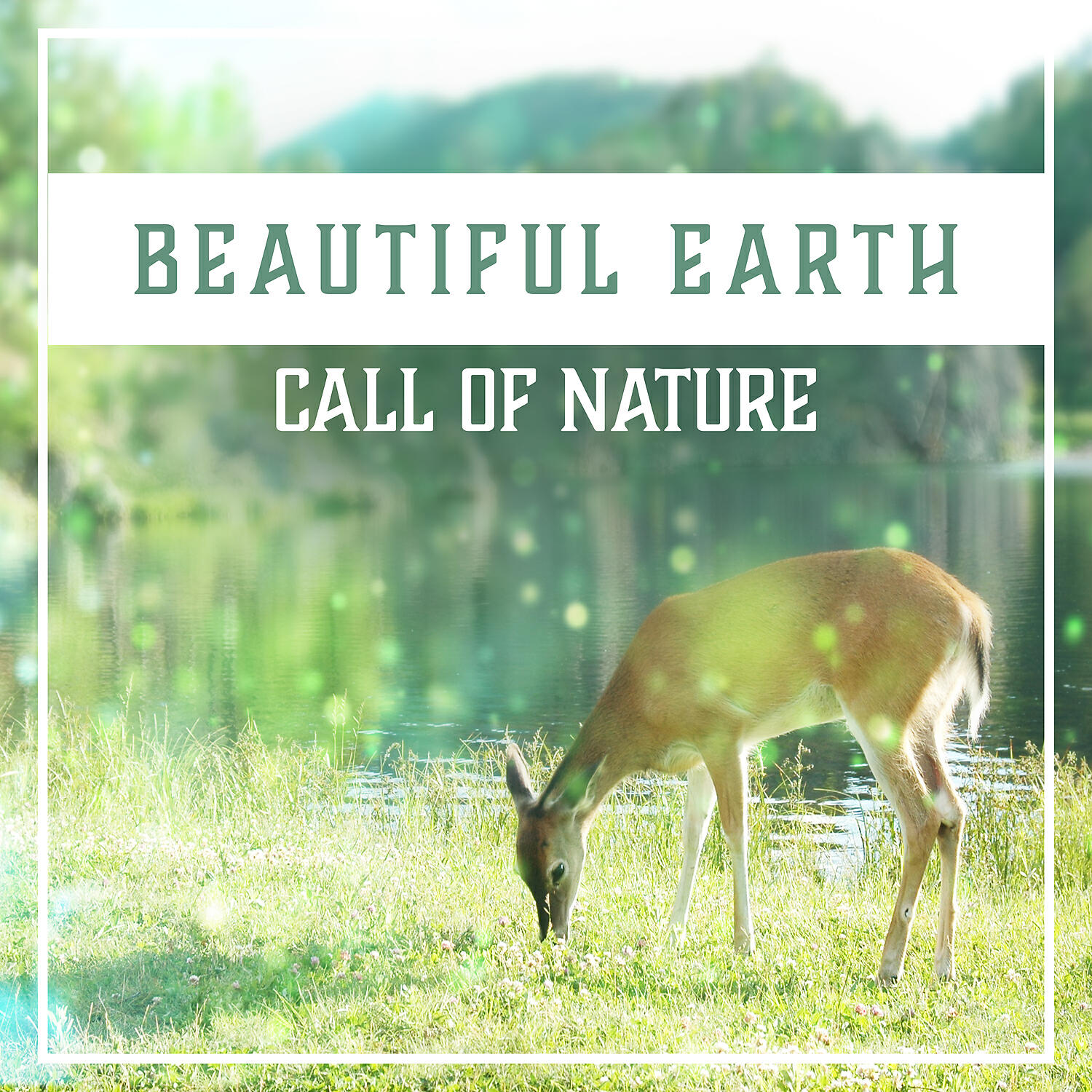 Calm Music Masters Relaxation - Bio Energy