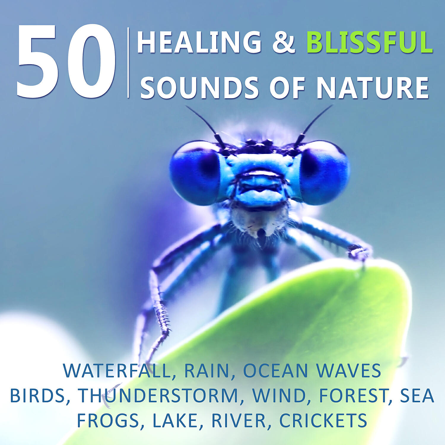 Sound Therapy Masters - Wellness & Spa & Ayurveda (Reiki Sound Healing)
