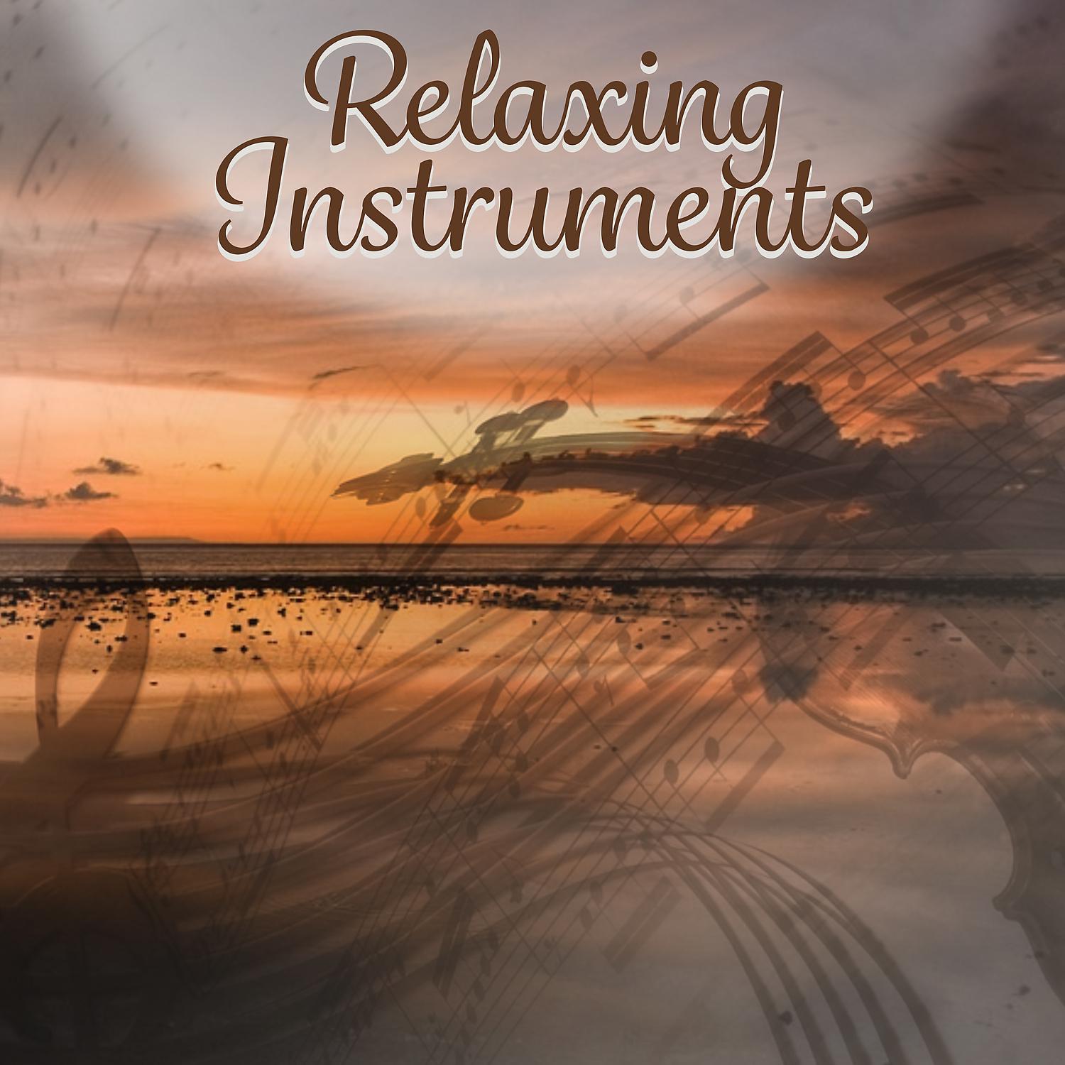 The Best Relaxing Music Academy - Violin Sonata No. 35 in A Major, K. 526: I. Allegro molto