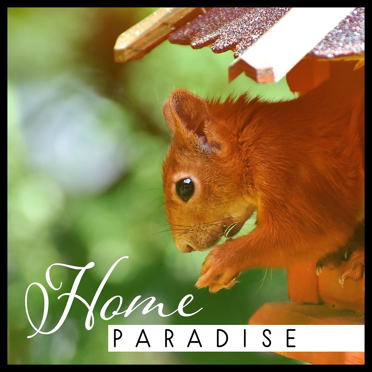 Постер альбома Home Paradise: Way to Rest, Beautiful Nature, Blissful Surrounding, Simple Path of Life, Emotional Symphony, Internal Silence