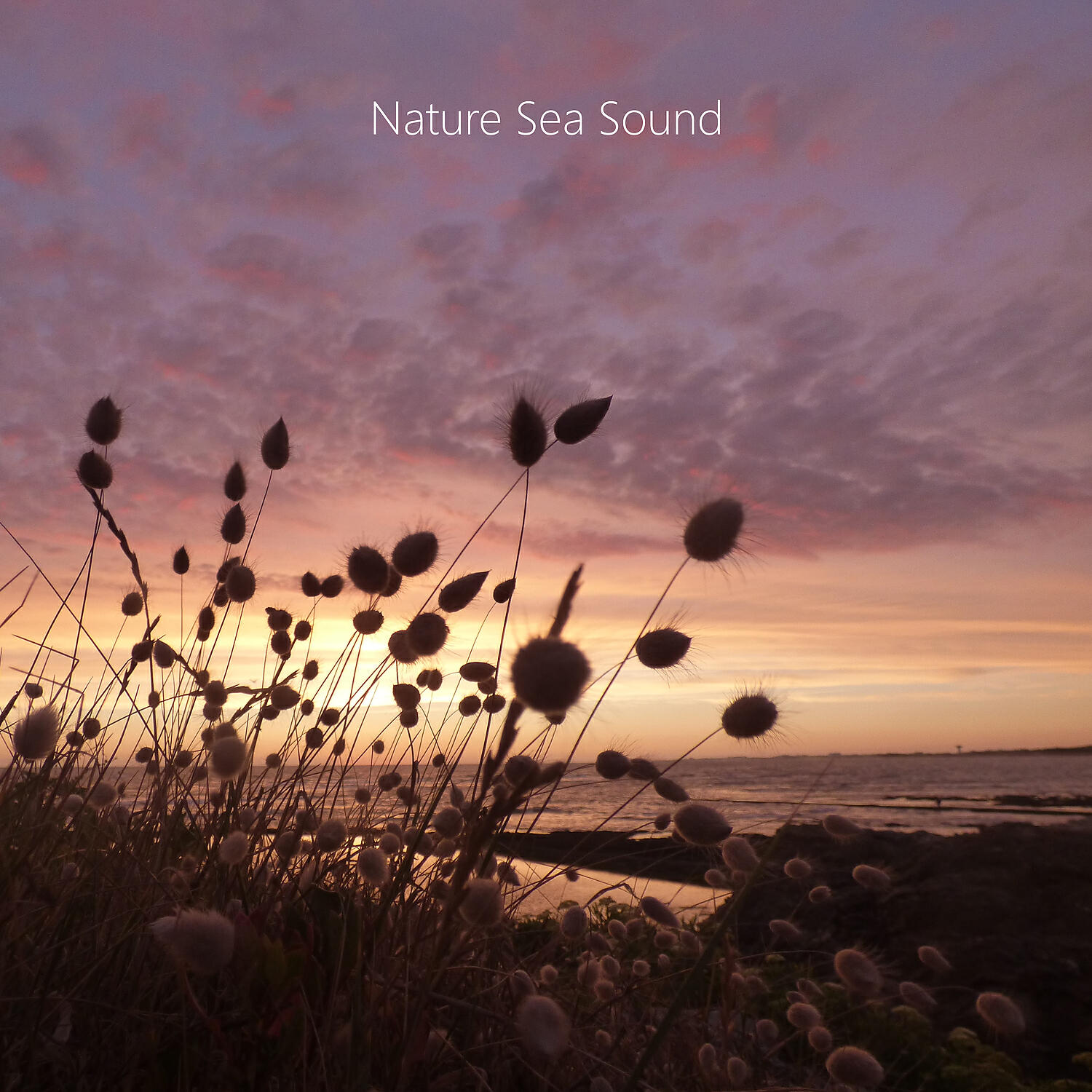 Nature Sea Sound - Ocean Sound