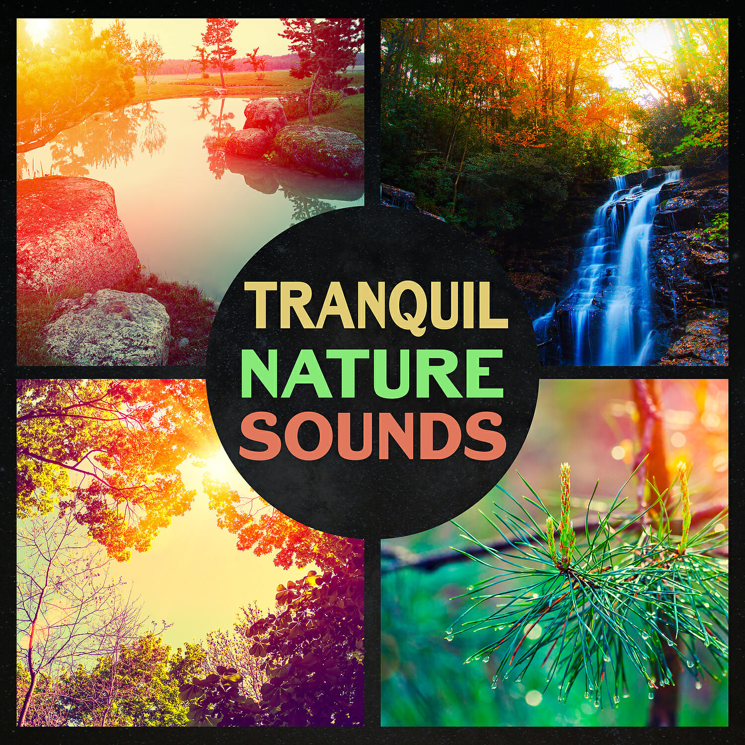 Nature Music Sanctuary - Wind and Birds Ambient – Meditation Relax