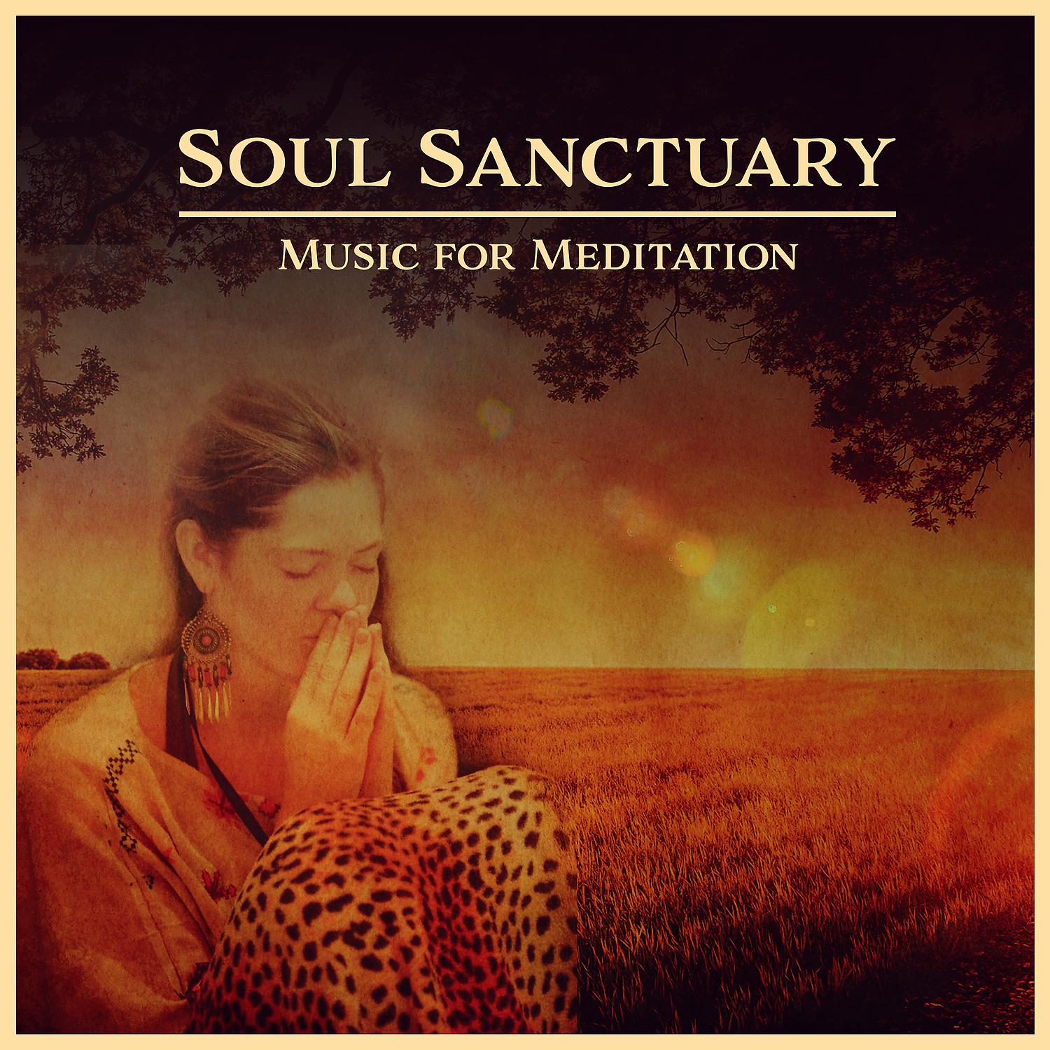 Постер альбома Soul Sanctuary: Music for Meditation, Loving Kindness, Free Spirit, New Age Harmony, Find Peace, Inspirational Sounds, Healing Mantra