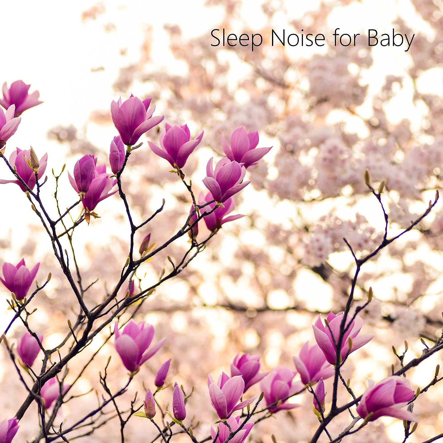Постер альбома Looped Baby Sleep Noise