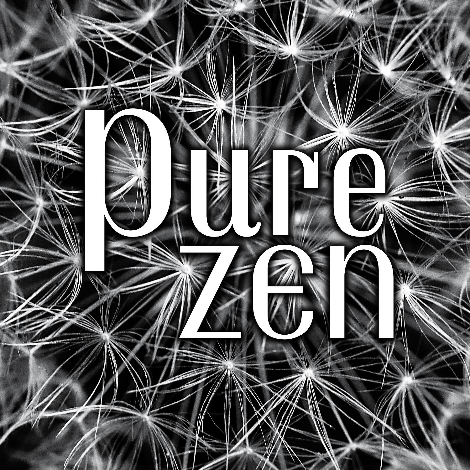Постер альбома Pure Zen: Moment of Deep Contemplation for Calm Down and Open Soul
