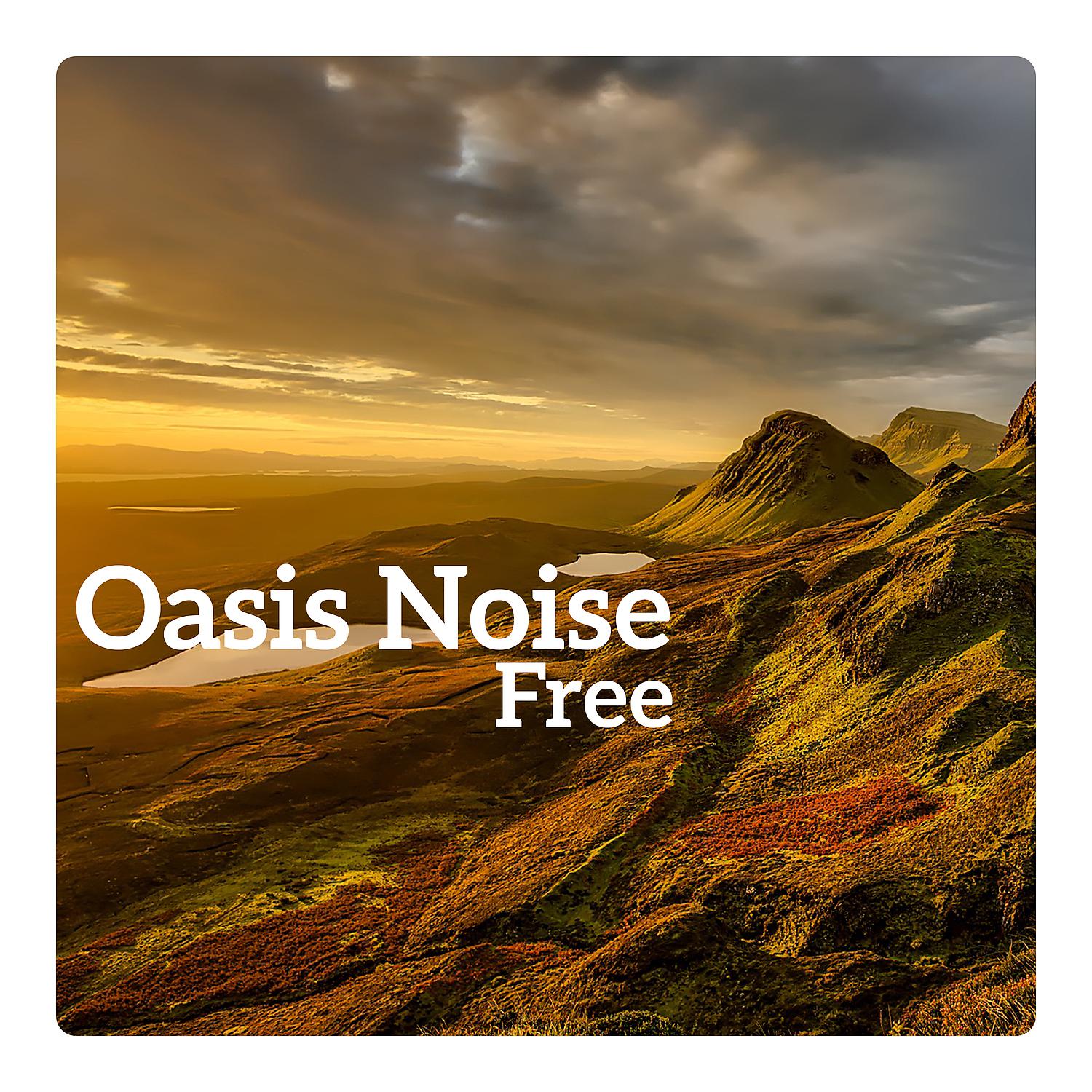 Постер альбома Oasis Noise Free – Tinnitus Cure, Bring Calm to Your Ears, Perception of Sound, Restore Pleasure, Final Migraine Relief