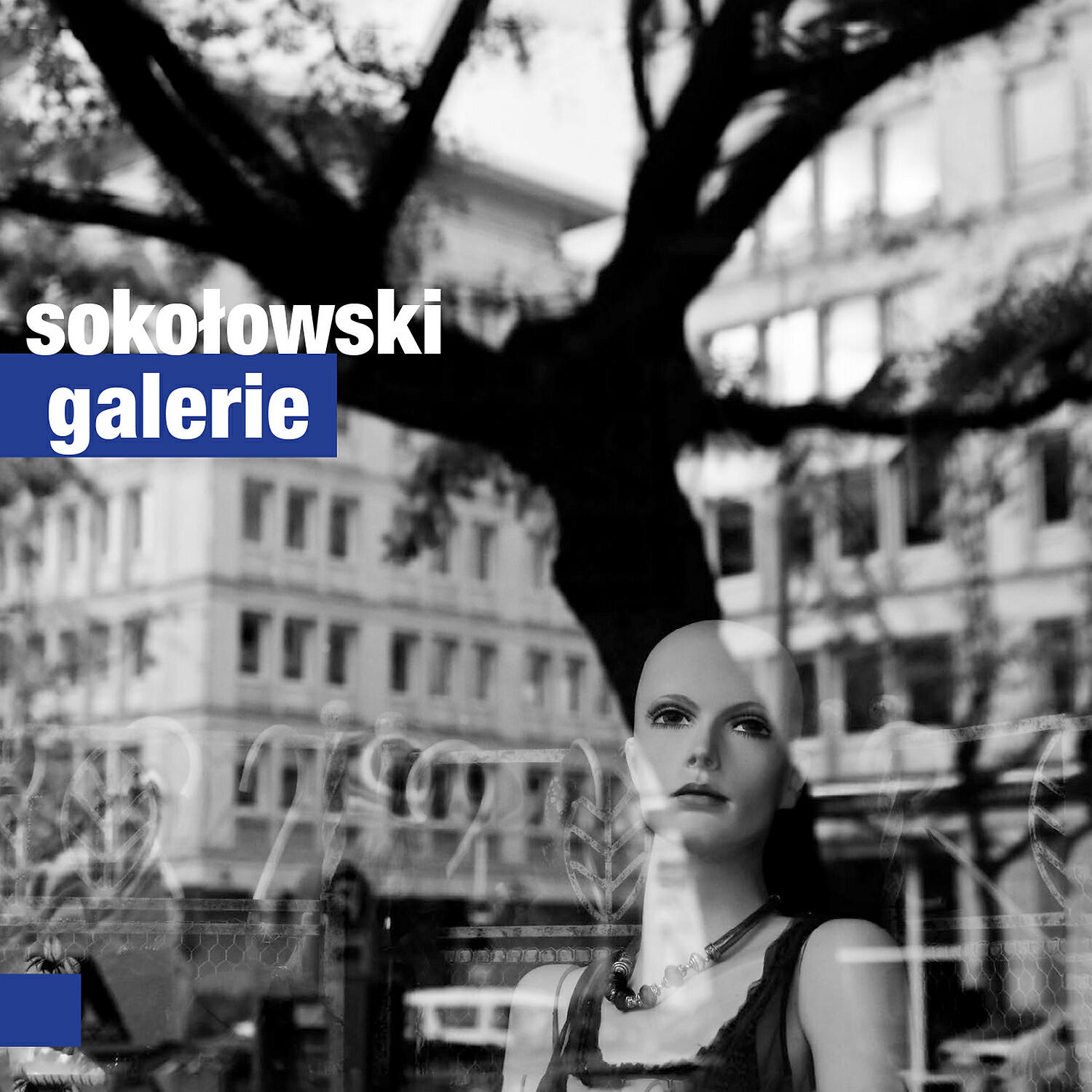 Sokolowski - Galeria I