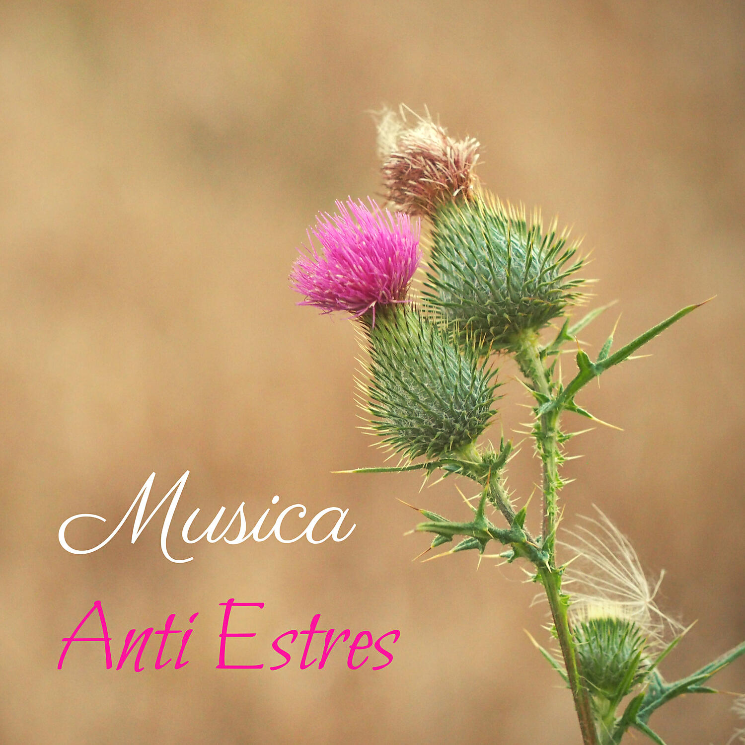 Zona anti estrés - Anti Estres y ansiedad