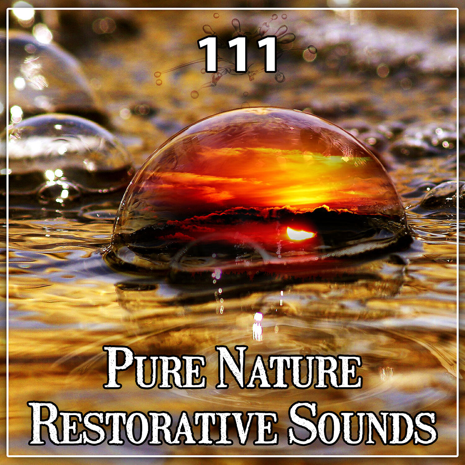 Oasis de Musique Zen Spa - Beautiful Song of New Zealand Birds