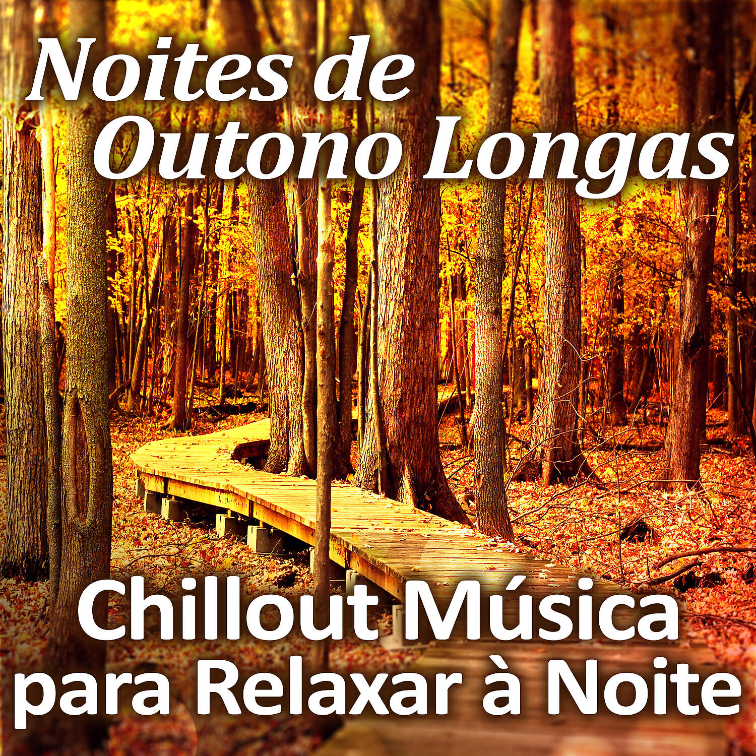Drink Bar Chillout Music - Noites de Outono Longas