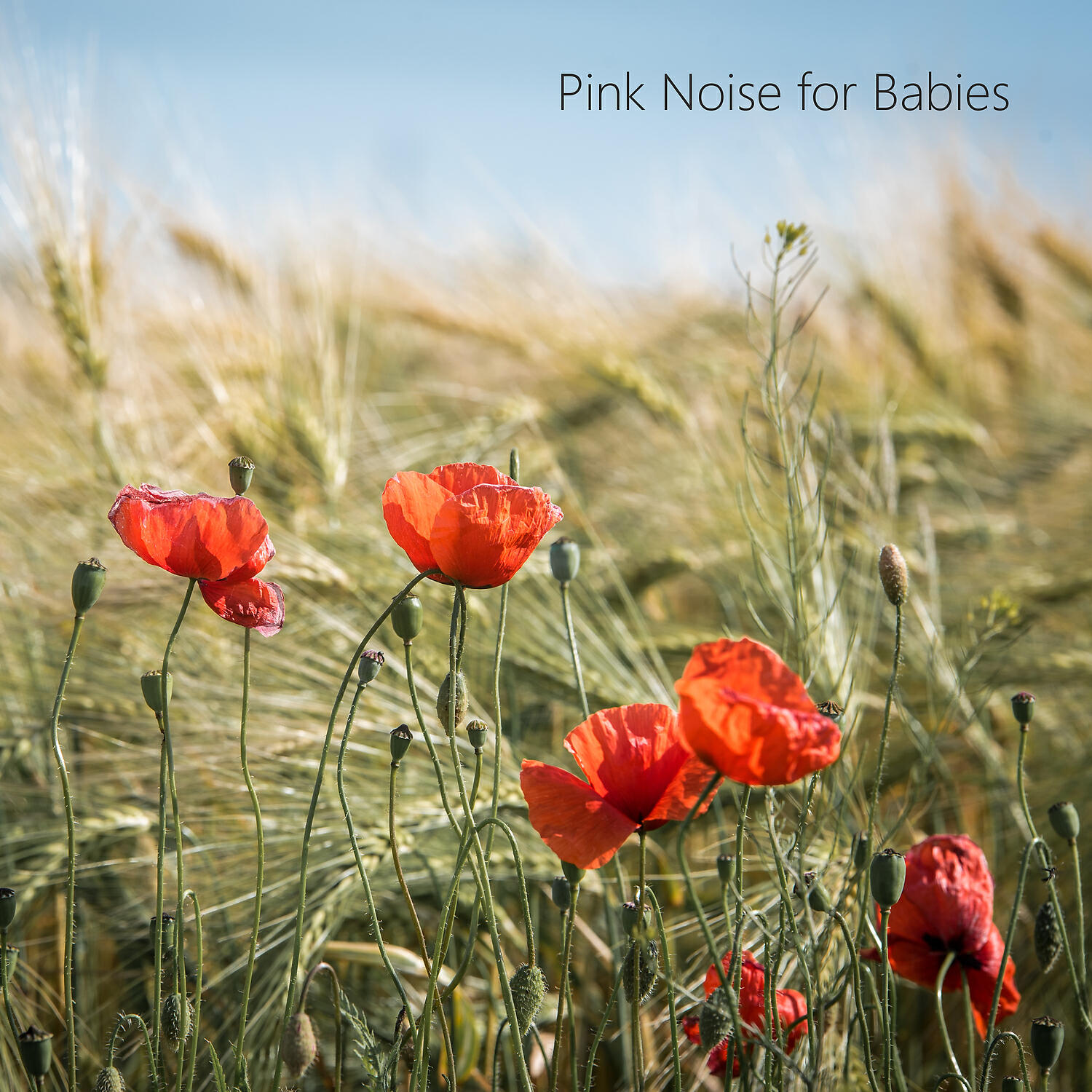 Looped Relax Noise - Pink Noise Looped Sleep (Free Pink Noise) feat. Noise Loop Infinity