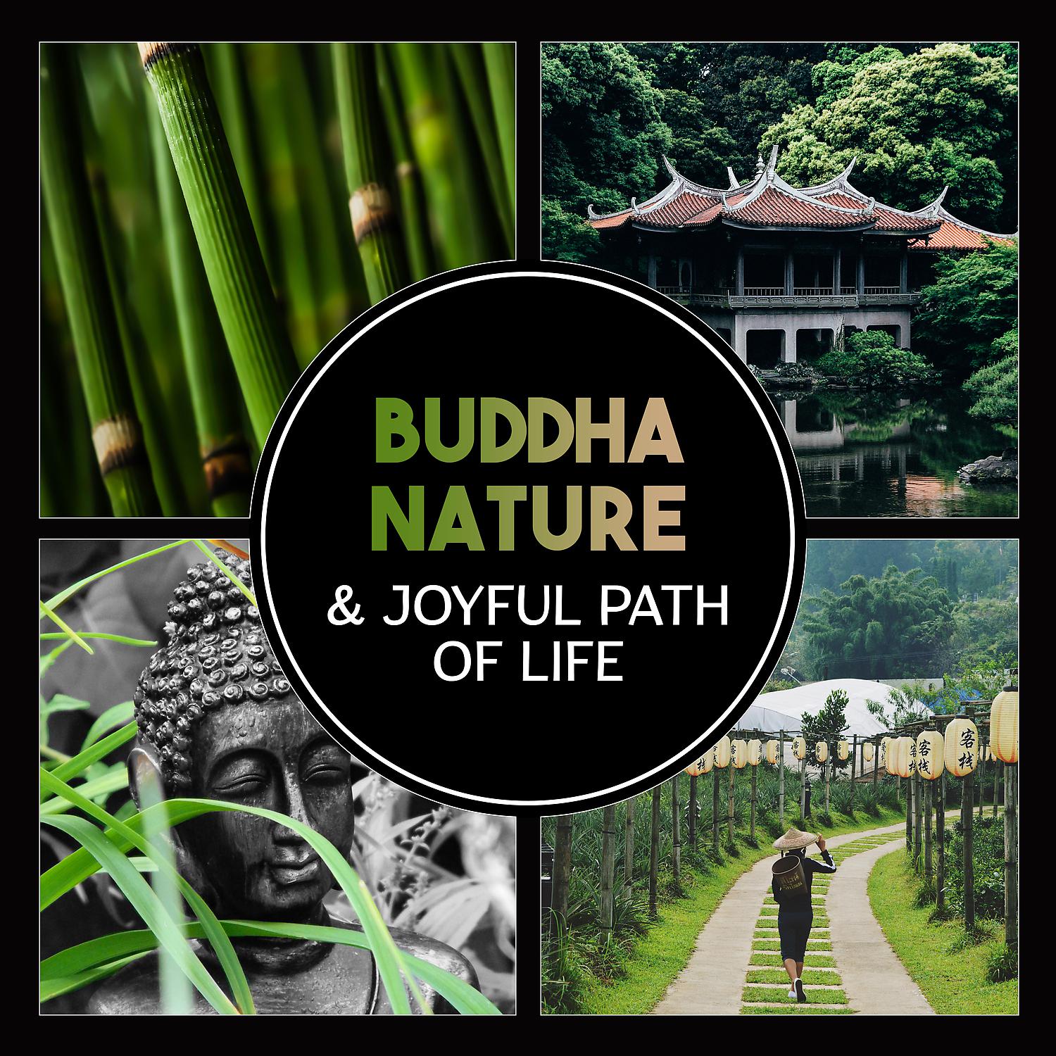 Постер альбома Buddha Nature & Joyful Path of Life – Touch of Healing, Meditation, Spiritual Teaching, Mindfulness Activities for Inner Peace, Energy Zen Flow