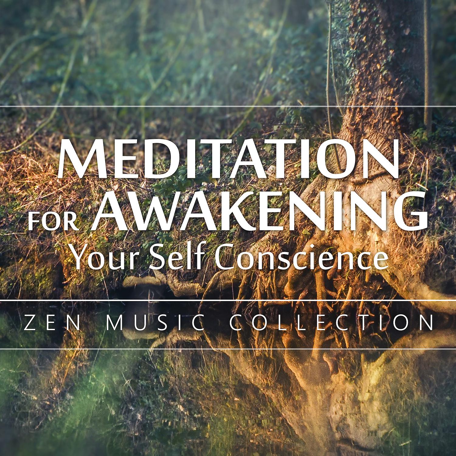Постер альбома Meditation for Awakening Your Self Conscience - Zen Music Collection (Inner Healer, Through Thought, Beliefs, The Balance Between Emotions & Behaviors) 50 Tracks of Relaxing Tunes