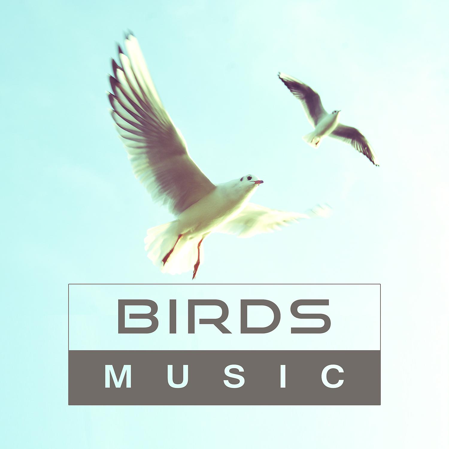 Постер альбома Birds Music – Sounds for Relaxation, Soothing Sounds, Rest a Bit, Relax Yourself