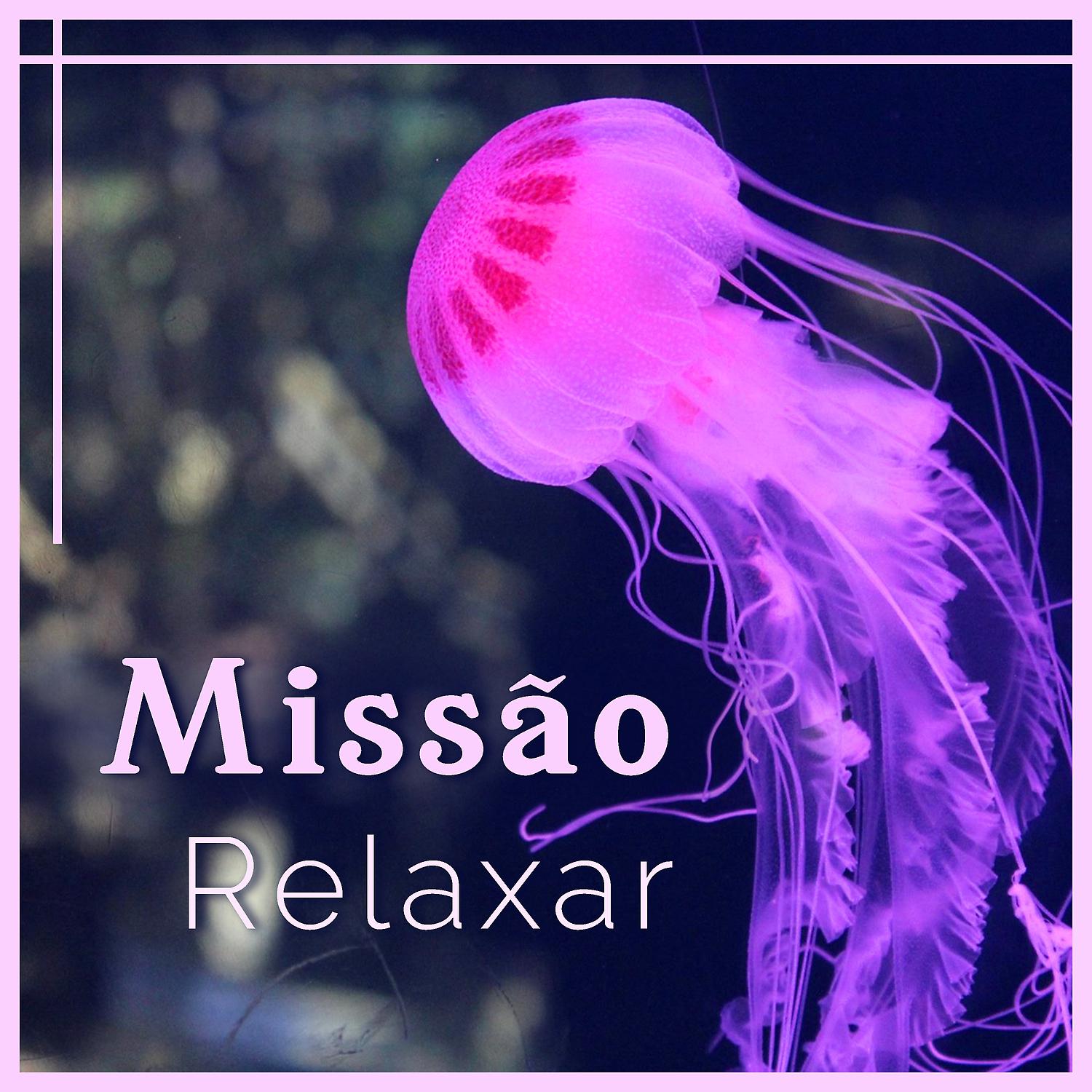 Постер альбома Missão: Relaxar - Música Anti-Stress, Sons de Paz, Dose Diária de Felicidade, Harmonia Calmante
