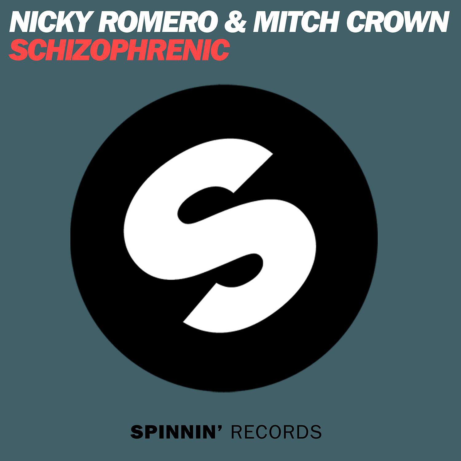 Nicky Romero - Schizophrenic (DBN Remix)