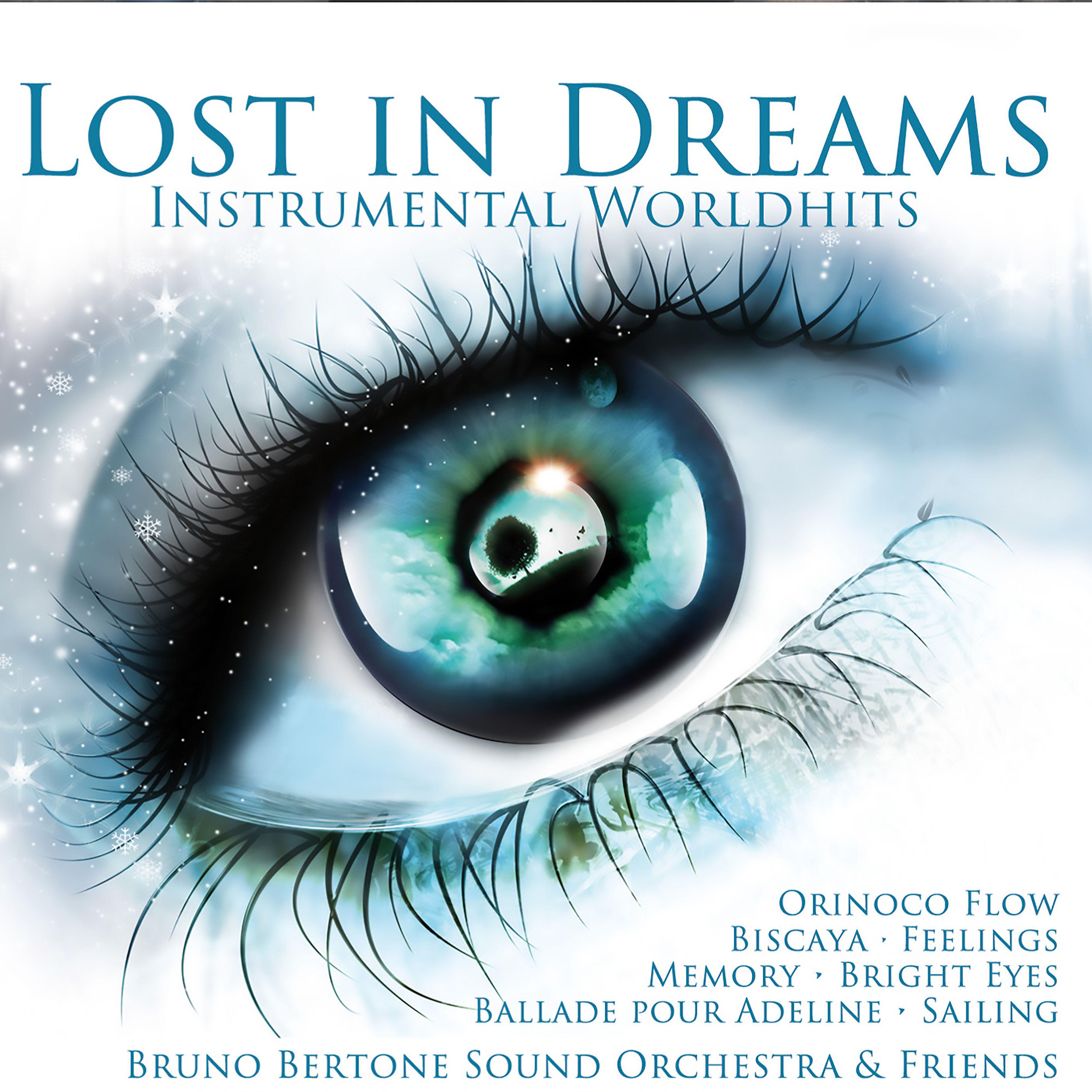 Постер альбома Lost In Dreams: Instrumental Worldhits