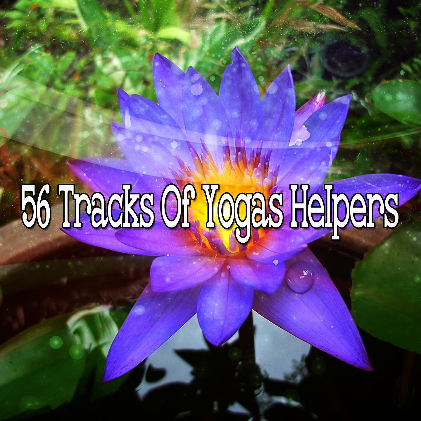 Yoga Soul - Tranquil Adventures