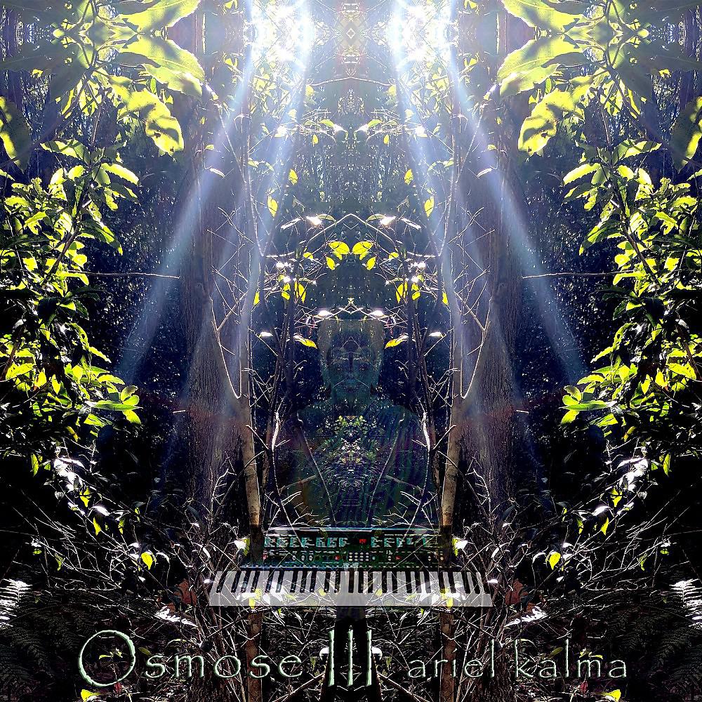 Постер альбома Osmose III