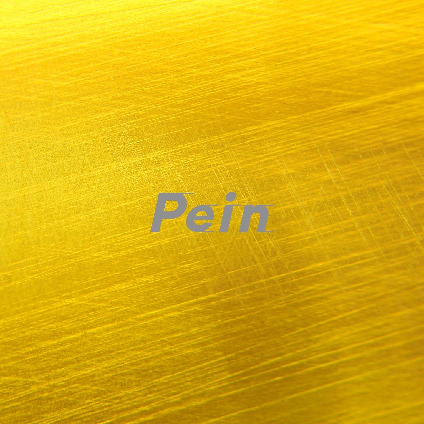 Постер альбома Pein