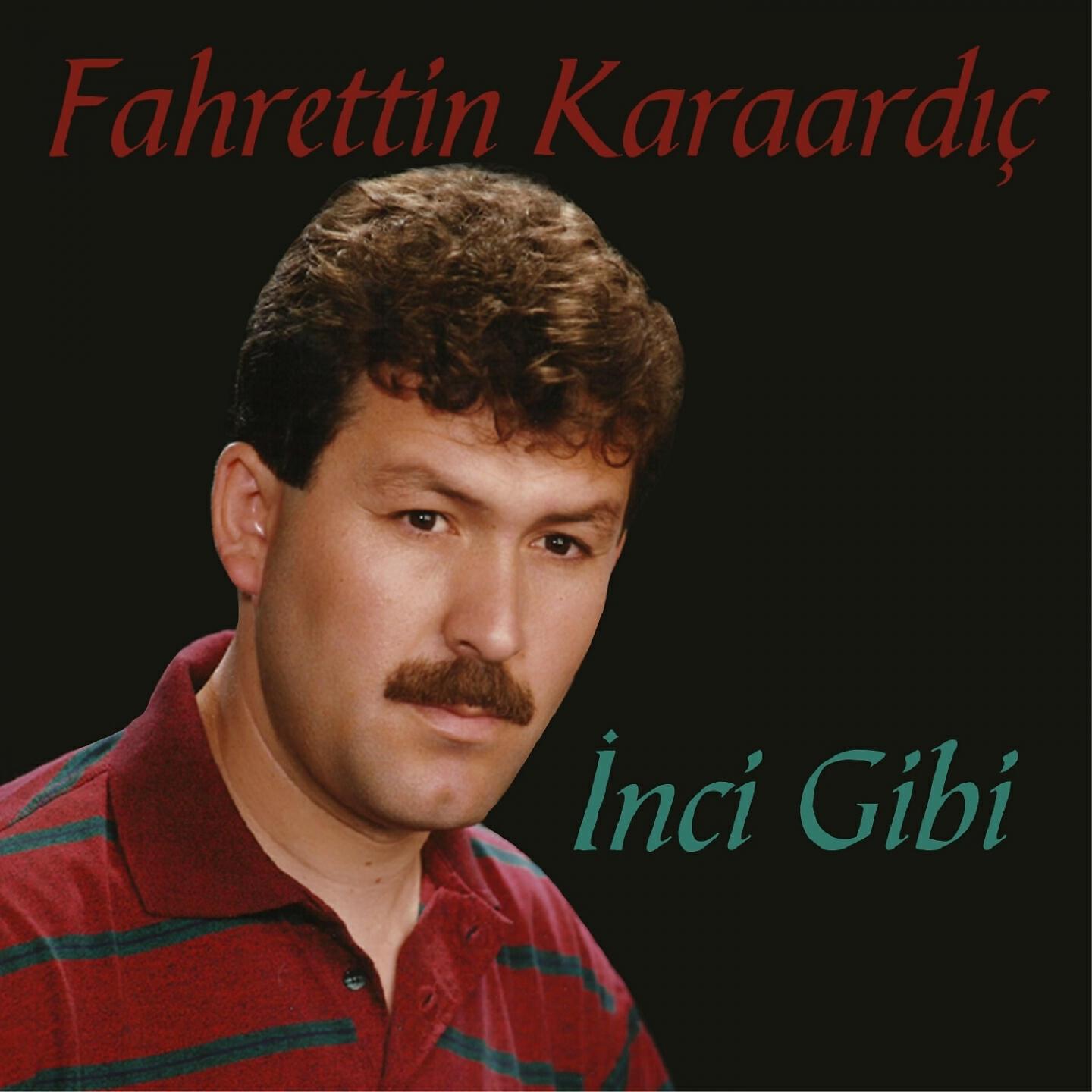 Fahrettin Karaardıç - Unut Beni