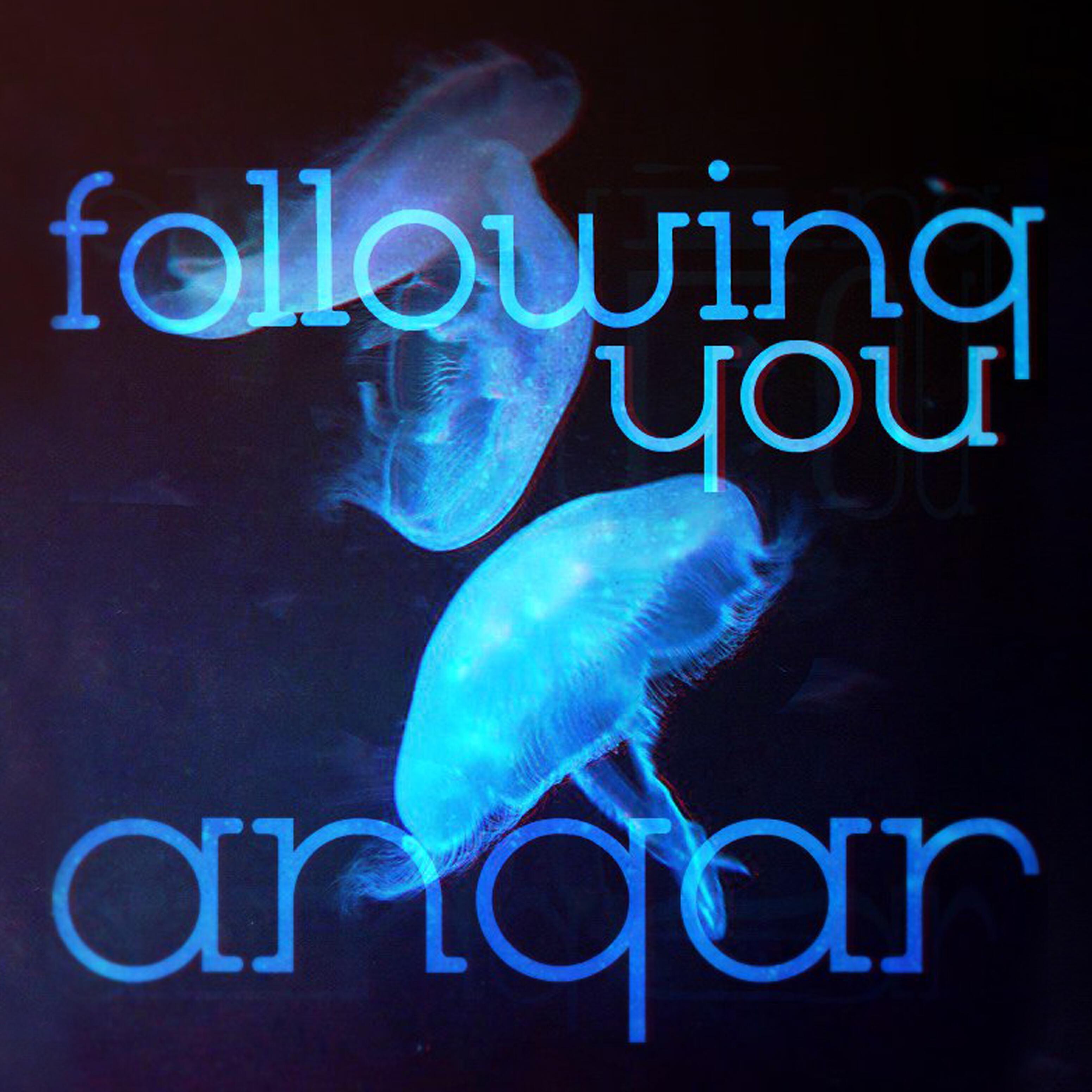ANGAR - Following You