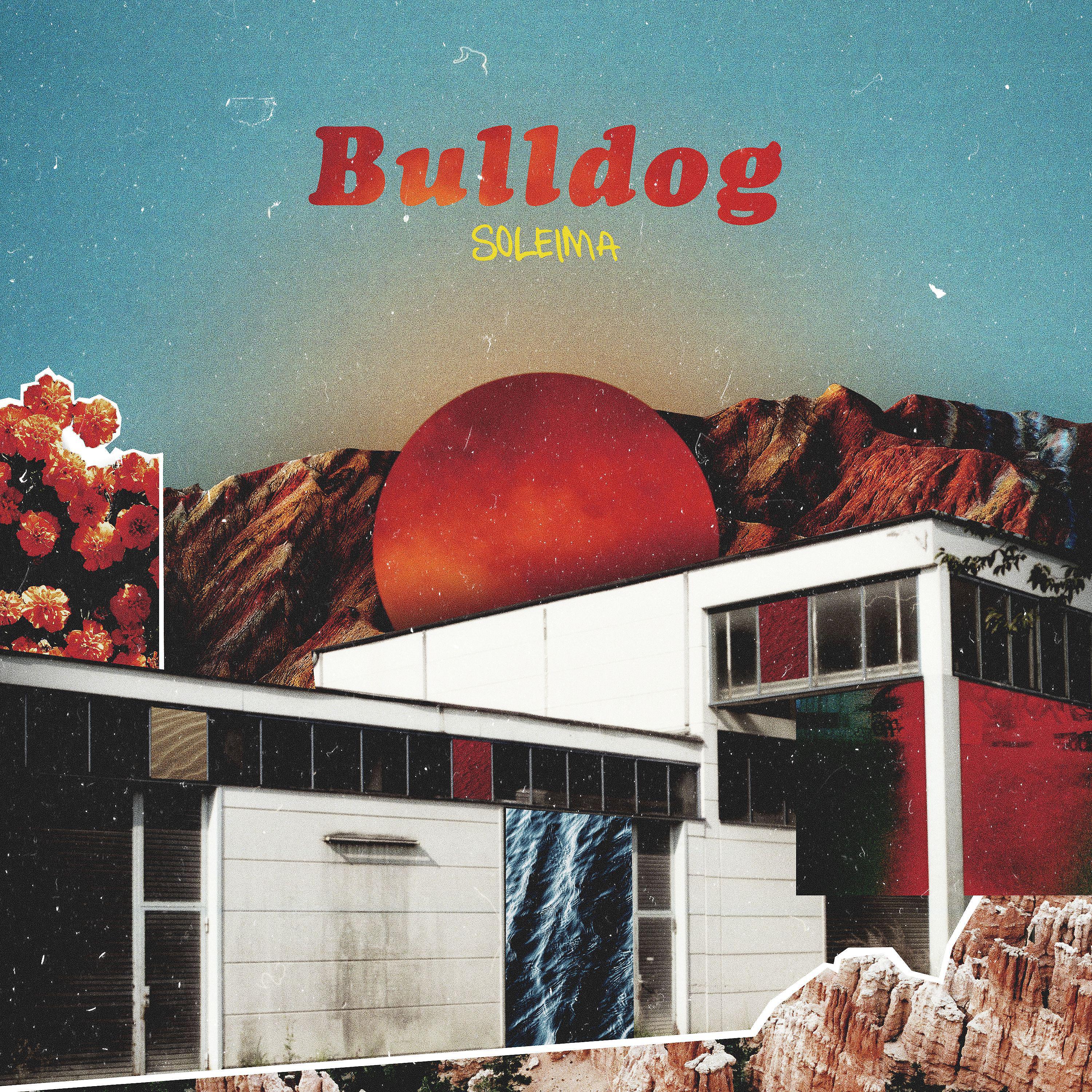Постер альбома Bulldog