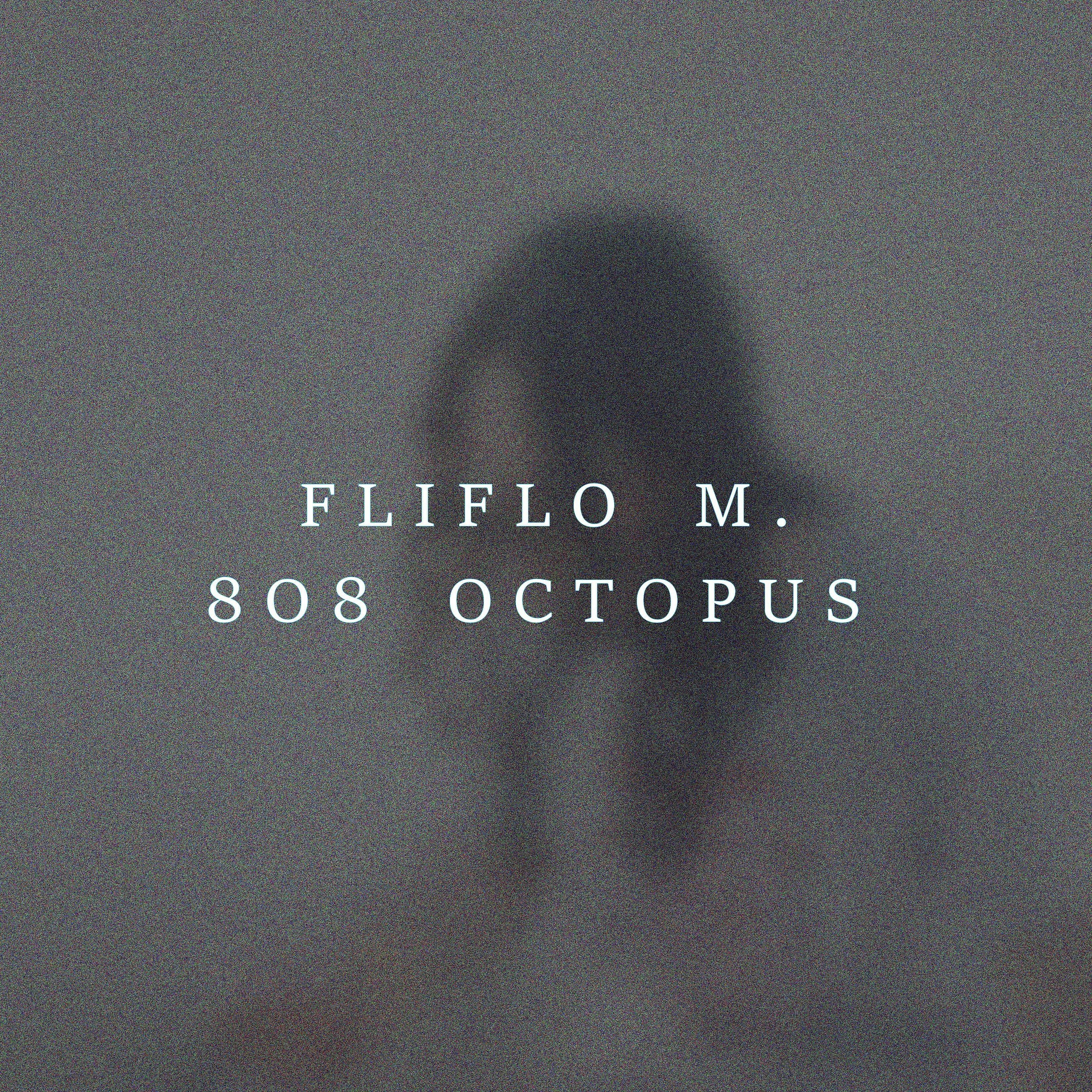 Fliflo M. - Flex Like (feat. Soad Beats)