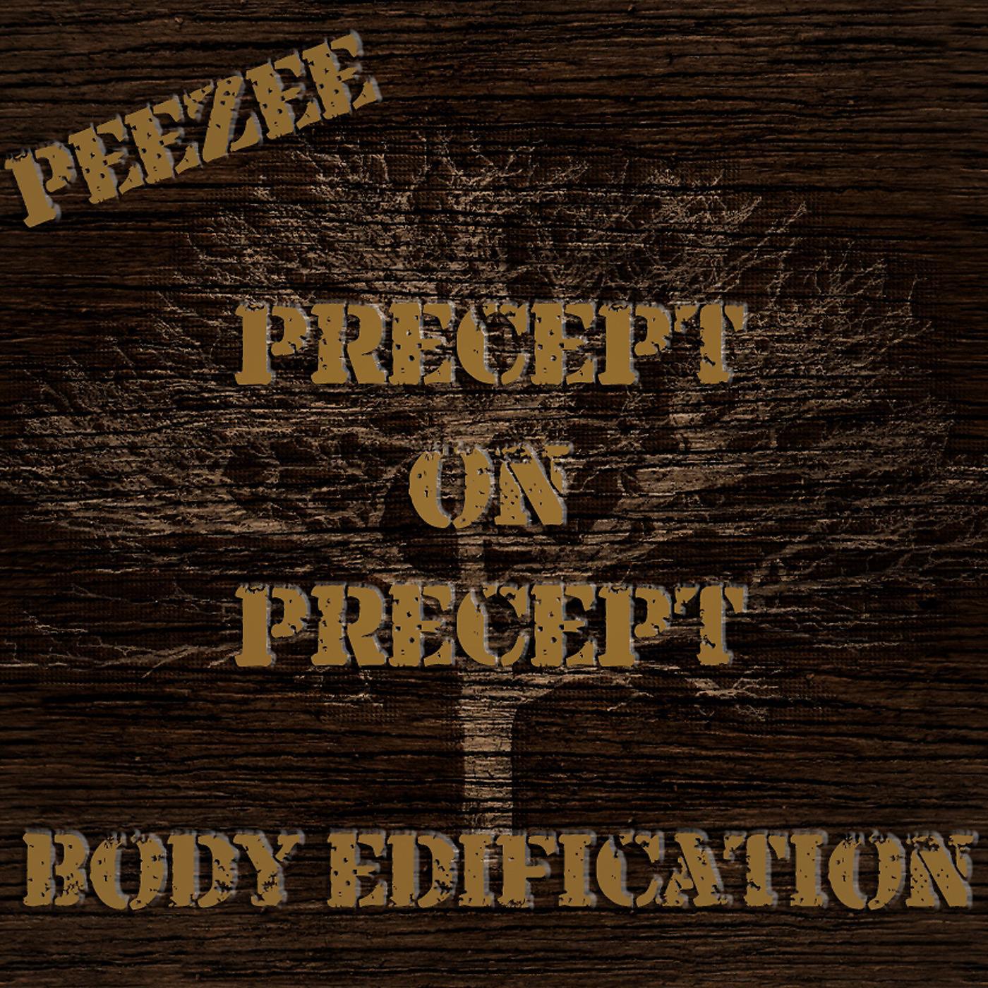 Постер альбома Precept on Precept Body Edification