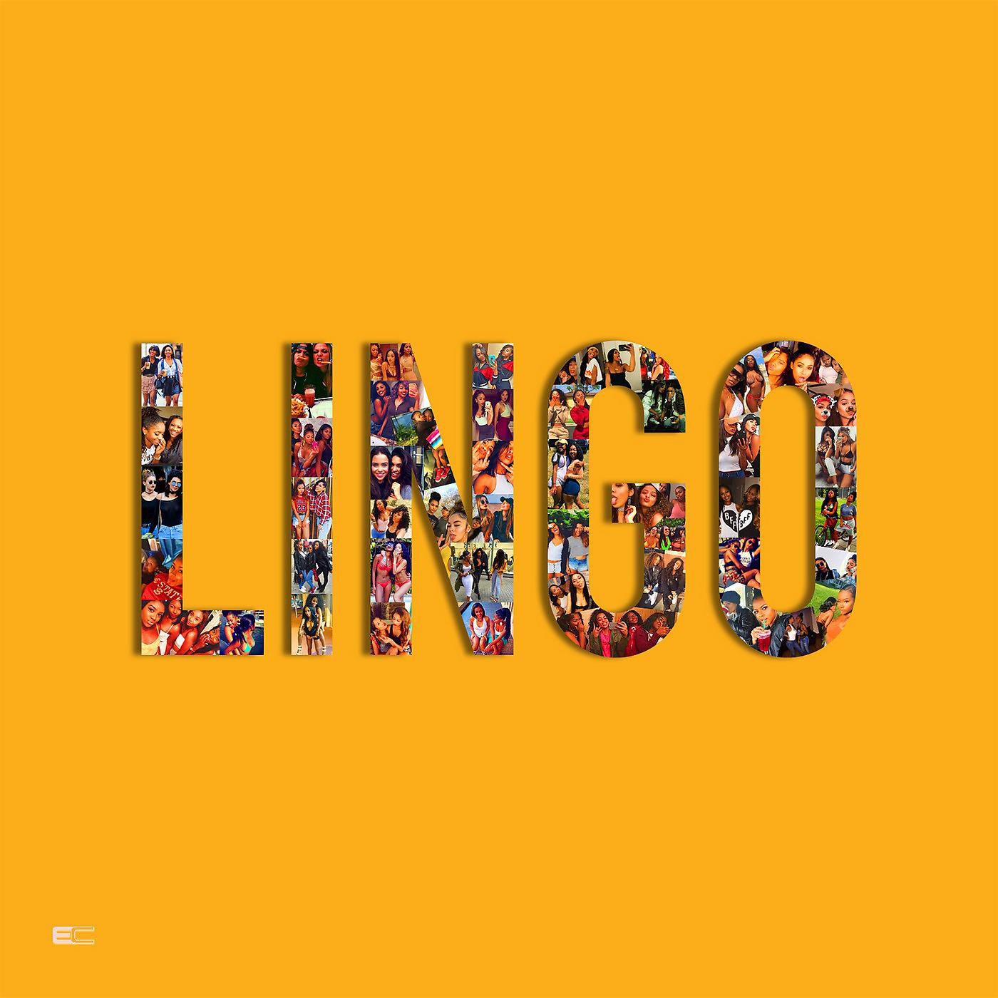 Постер альбома Lingo