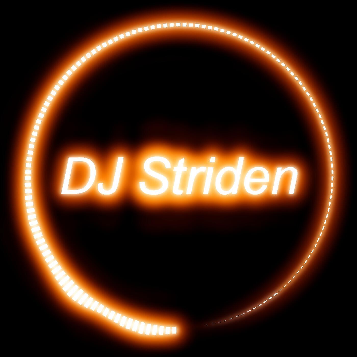 DJ Striden - Snow Fall (Melodic Edm)
