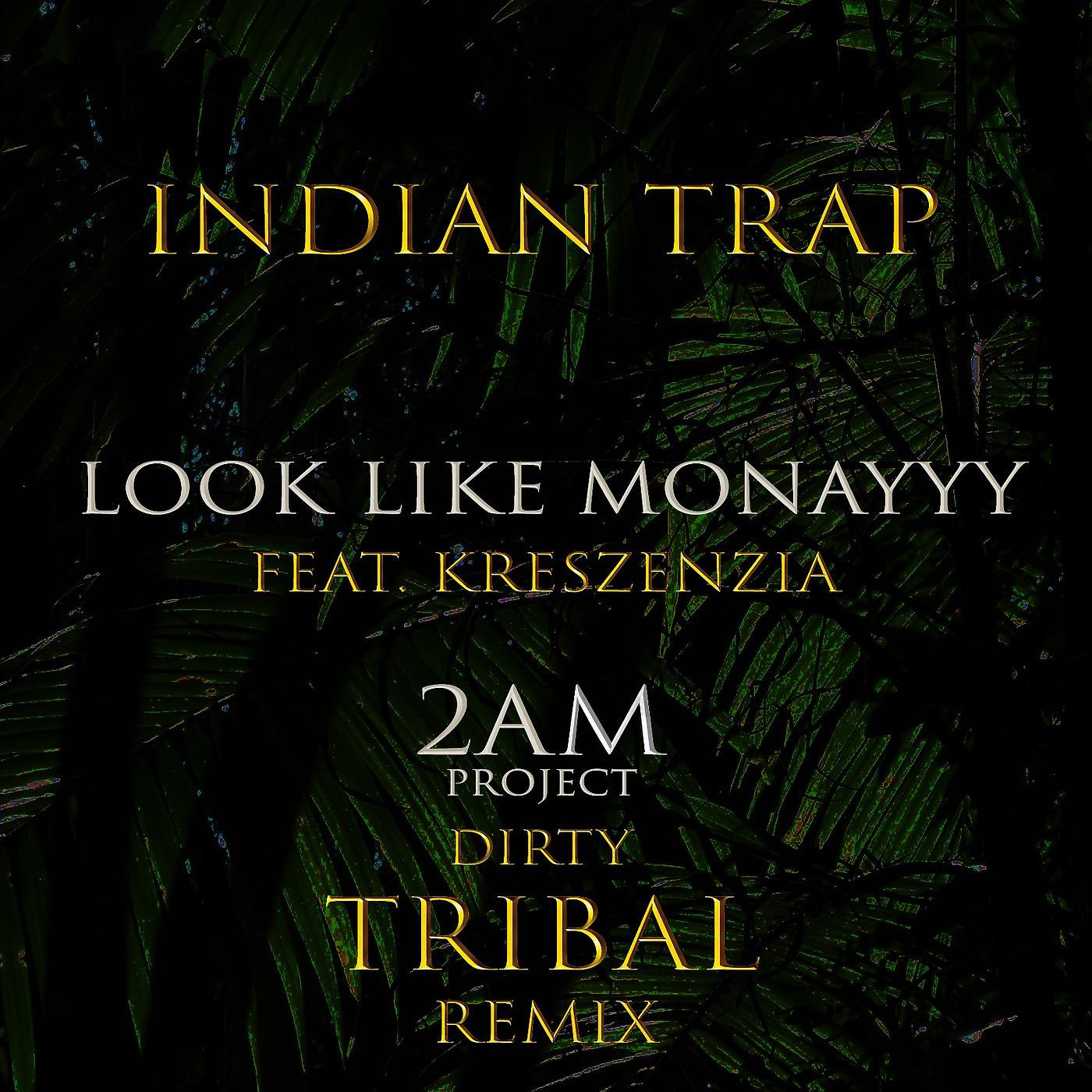 Постер альбома Look Like Monayyy (2am Project Dirty Tribal Remixes) [feat. Kreszenzia]