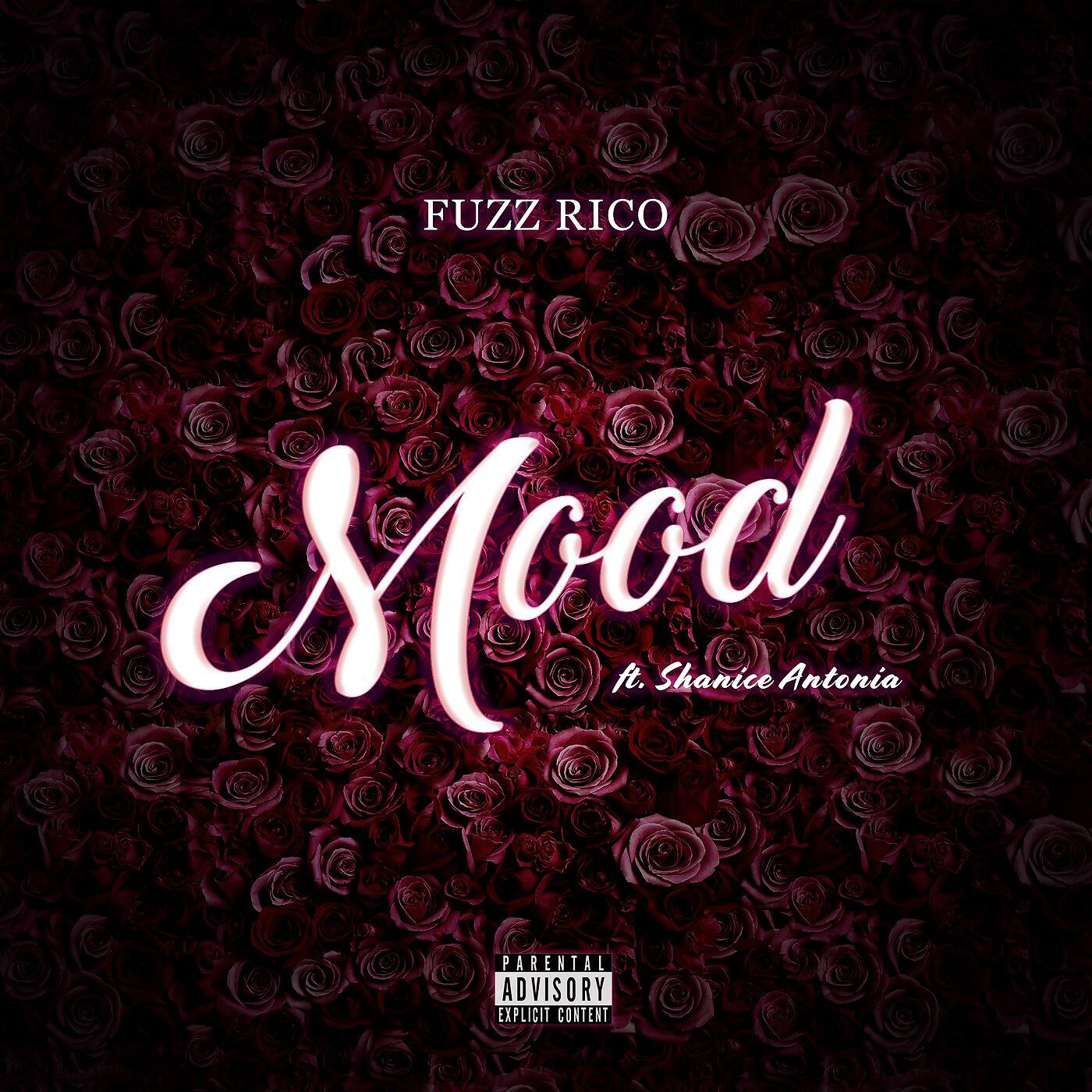 Fuzz Rico - Mood (feat. Shanice Antonia)