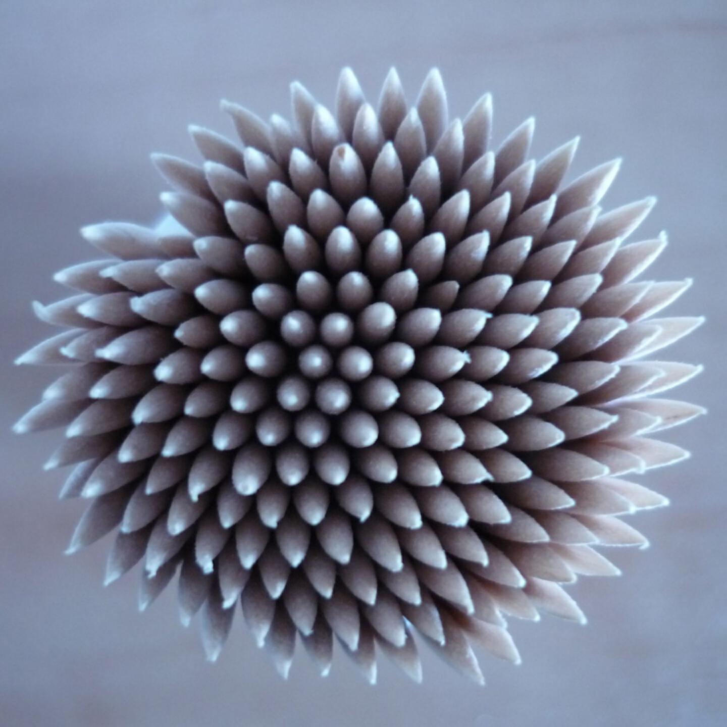 Qz45 - Toothpick Winter Flower